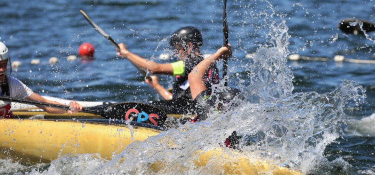 Sommer am Liblarer See